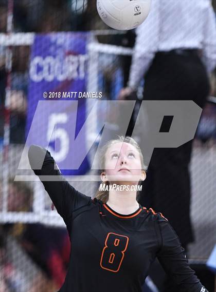 Thumbnail 2 in Lewis-Palmer vs. Niwot (CHSAA 4A Final) photogallery.