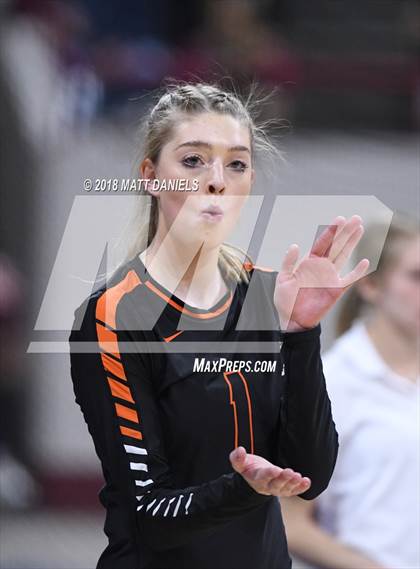 Thumbnail 2 in Lewis-Palmer vs. Niwot (CHSAA 4A Final) photogallery.