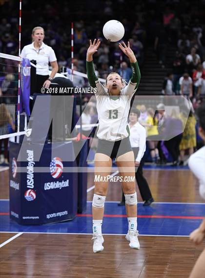 Thumbnail 3 in Lewis-Palmer vs. Niwot (CHSAA 4A Final) photogallery.