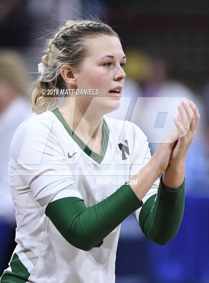 Thumbnail 3 in Lewis-Palmer vs. Niwot (CHSAA 4A Final) photogallery.