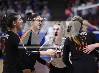 Thumbnail 2 in Lewis-Palmer vs. Niwot (CHSAA 4A Final) photogallery.