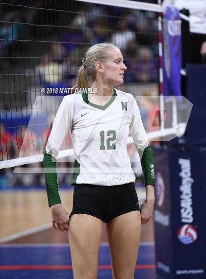 Thumbnail 3 in Lewis-Palmer vs. Niwot (CHSAA 4A Final) photogallery.