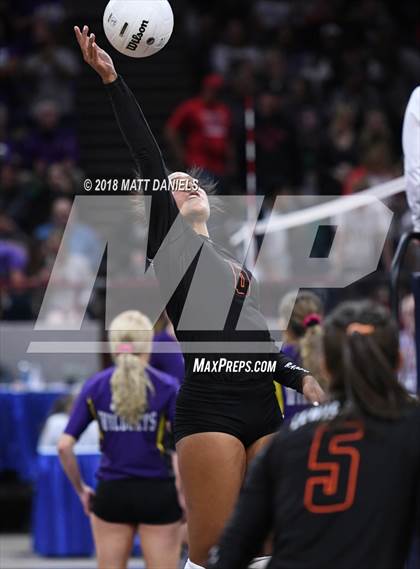 Thumbnail 3 in Lewis-Palmer vs. Niwot (CHSAA 4A Final) photogallery.