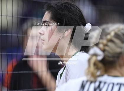Thumbnail 1 in Lewis-Palmer vs. Niwot (CHSAA 4A Final) photogallery.