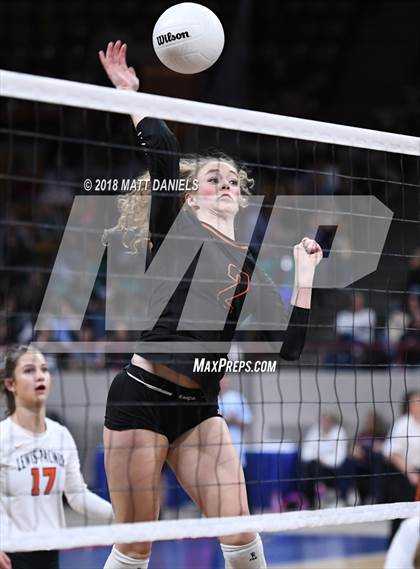 Thumbnail 3 in Lewis-Palmer vs. Niwot (CHSAA 4A Final) photogallery.