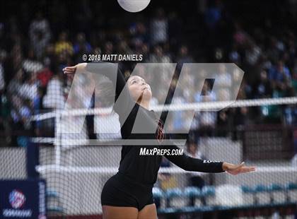 Thumbnail 3 in Lewis-Palmer vs. Niwot (CHSAA 4A Final) photogallery.