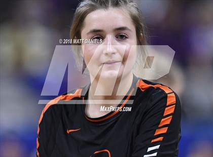 Thumbnail 1 in Lewis-Palmer vs. Niwot (CHSAA 4A Final) photogallery.
