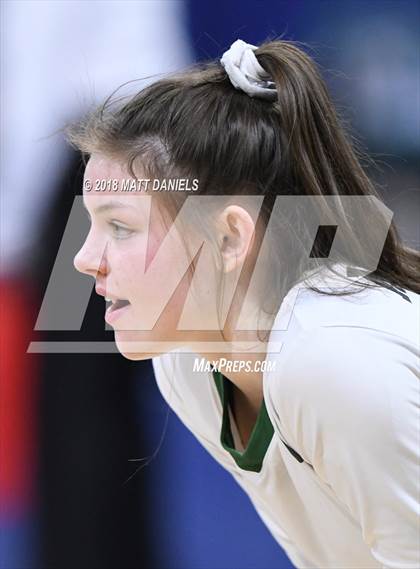 Thumbnail 1 in Lewis-Palmer vs. Niwot (CHSAA 4A Final) photogallery.