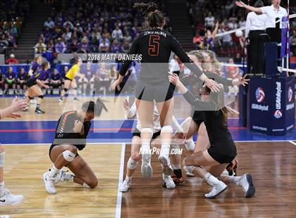 Thumbnail 3 in Lewis-Palmer vs. Niwot (CHSAA 4A Final) photogallery.