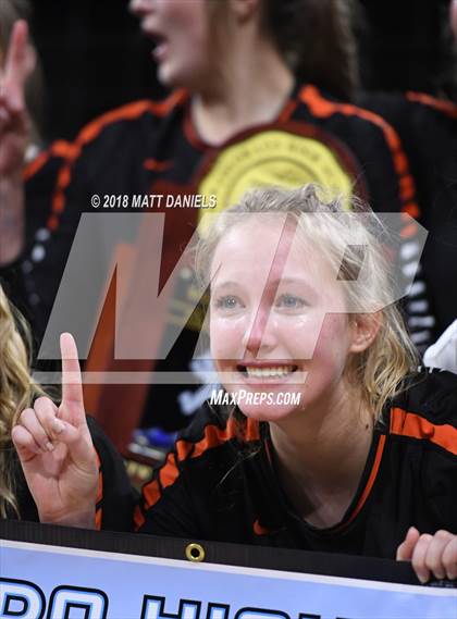 Thumbnail 1 in Lewis-Palmer vs. Niwot (CHSAA 4A Final) photogallery.