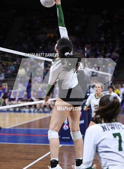 Thumbnail 1 in Lewis-Palmer vs. Niwot (CHSAA 4A Final) photogallery.