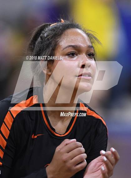 Thumbnail 3 in Lewis-Palmer vs. Niwot (CHSAA 4A Final) photogallery.