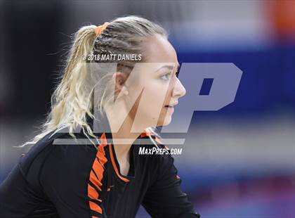 Thumbnail 3 in Lewis-Palmer vs. Niwot (CHSAA 4A Final) photogallery.