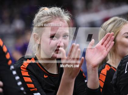 Thumbnail 3 in Lewis-Palmer vs. Niwot (CHSAA 4A Final) photogallery.