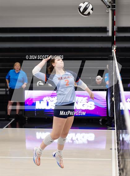 Thumbnail 3 in Valor College Prep @ Lipscomb Academy photogallery.