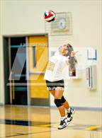 Photo from the gallery "Kennedy @ River City"