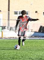 Photo from the gallery "Alameda @ Jefferson"