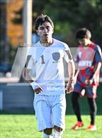 Photo from the gallery "Alameda @ Jefferson"