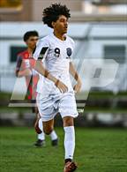 Photo from the gallery "Alameda @ Jefferson"