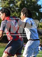 Photo from the gallery "Alameda @ Jefferson"