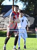 Photo from the gallery "Alameda @ Jefferson"