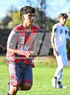 Photo from the gallery "Alameda @ Jefferson"