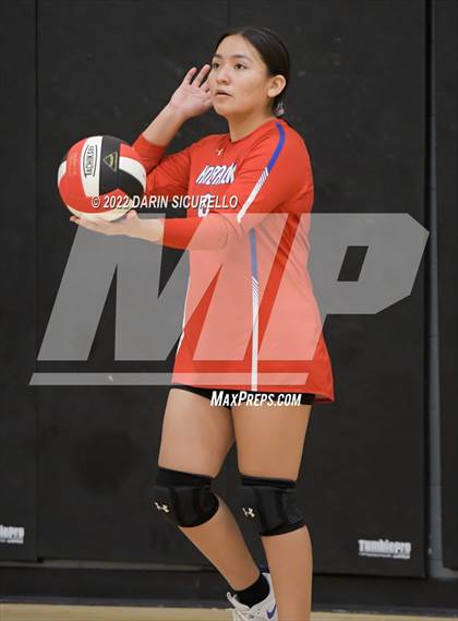 Thumbnail 2 in Page vs Holbrock (Epic Tourneys Volleyball Invite) photogallery.