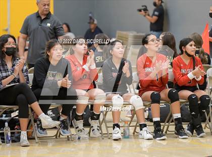 Thumbnail 1 in Page vs Holbrock (Epic Tourneys Volleyball Invite) photogallery.