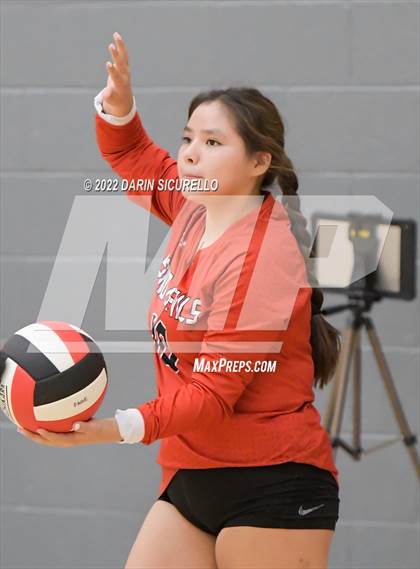 Thumbnail 1 in Page vs Holbrock (Epic Tourneys Volleyball Invite) photogallery.