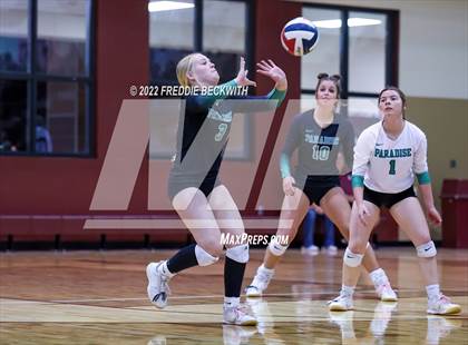 Thumbnail 2 in Paradise @ Callisburg photogallery.
