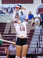 Photo from the gallery "Paradise @ Callisburg"