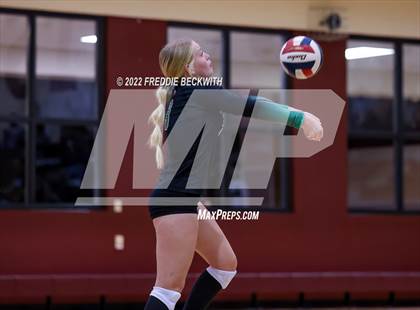 Thumbnail 1 in Paradise @ Callisburg photogallery.