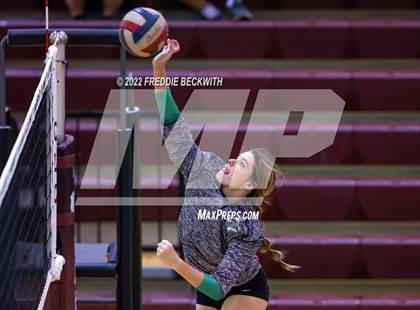 Thumbnail 1 in Paradise @ Callisburg photogallery.