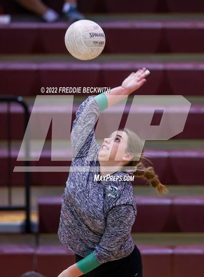 Thumbnail 2 in Paradise @ Callisburg photogallery.