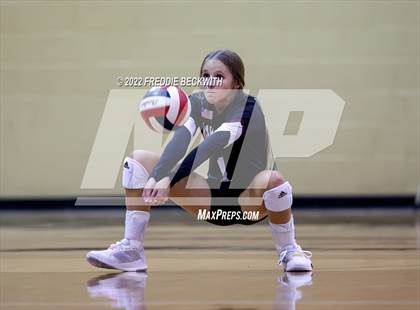 Thumbnail 2 in Paradise @ Callisburg photogallery.