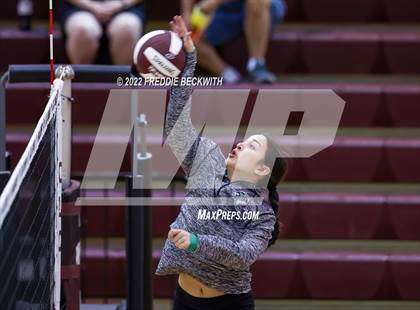 Thumbnail 2 in Paradise @ Callisburg photogallery.