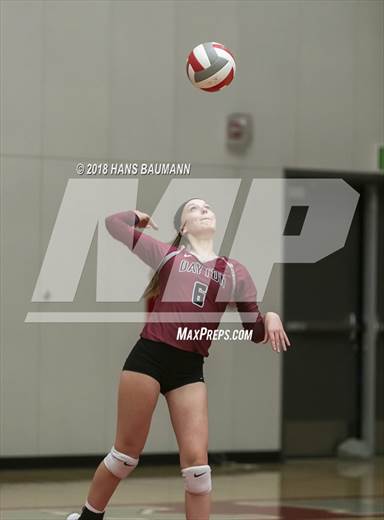 null - Photo 01