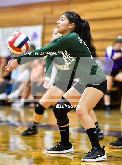 Thumbnail 1 in Damonte Ranch vs. Beatty (Yerington Tournament) photogallery.
