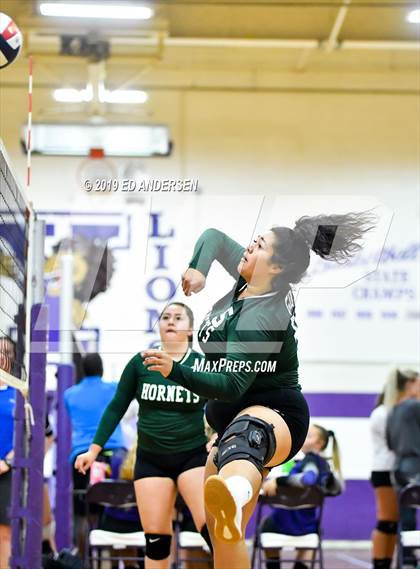 Thumbnail 2 in Damonte Ranch vs. Beatty (Yerington Tournament) photogallery.