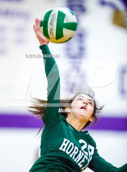 Thumbnail 3 in Damonte Ranch vs. Beatty (Yerington Tournament) photogallery.