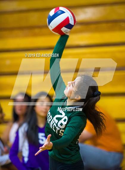 Thumbnail 2 in Damonte Ranch vs. Beatty (Yerington Tournament) photogallery.