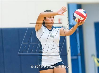 Thumbnail 1 in NB Canyon vs O'Connor photogallery.