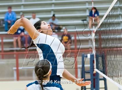 Thumbnail 1 in NB Canyon vs O'Connor photogallery.