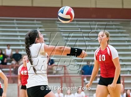 Thumbnail 3 in NB Canyon vs O'Connor photogallery.
