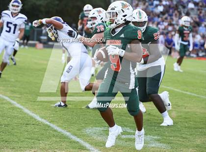 Thumbnail 3 in Fletcher @ Mandarin photogallery.