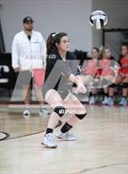 Photo from the gallery "Bloom-Carroll @ Circleville"