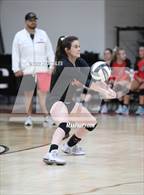Photo from the gallery "Bloom-Carroll @ Circleville"