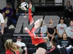 Photo from the gallery "Bloom-Carroll @ Circleville"