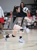 Photo from the gallery "Bloom-Carroll @ Circleville"