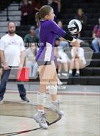 Photo from the gallery "Bloom-Carroll @ Circleville"